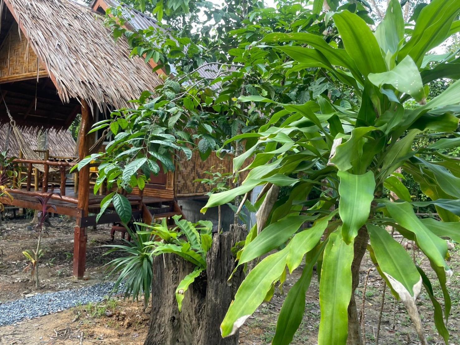 Ferienwohnung Dahla Lanta Hut Ko Lanta Exterior foto